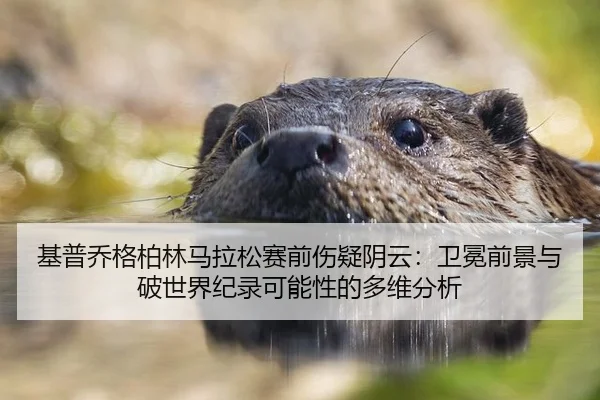 基普乔格柏林马拉松赛前伤疑阴云：卫冕前景与破世界纪录可能性的多维分析